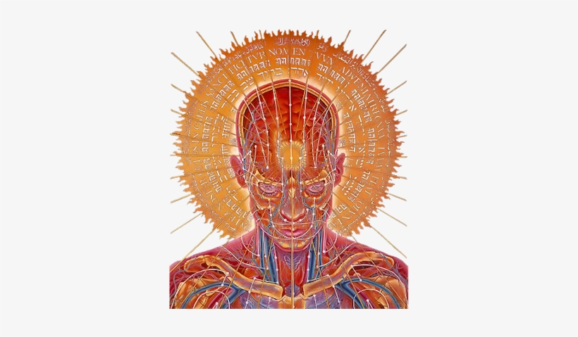 Girl - Alex Grey Art, transparent png download