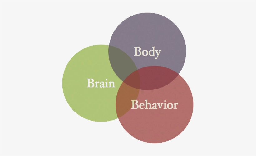 Brain Body And Behavior, transparent png download