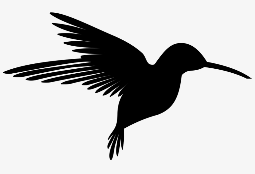 Animal, Bird, Flying, Hummingbird - Black And White Hummingbird Clipart, transparent png download