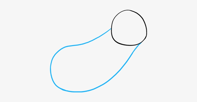 How To Draw Sloth - Circle, transparent png download