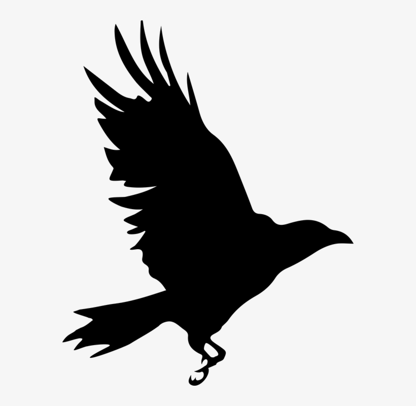 Raven Clipart Raptor Bird - Silueta Cuervo Png, transparent png download