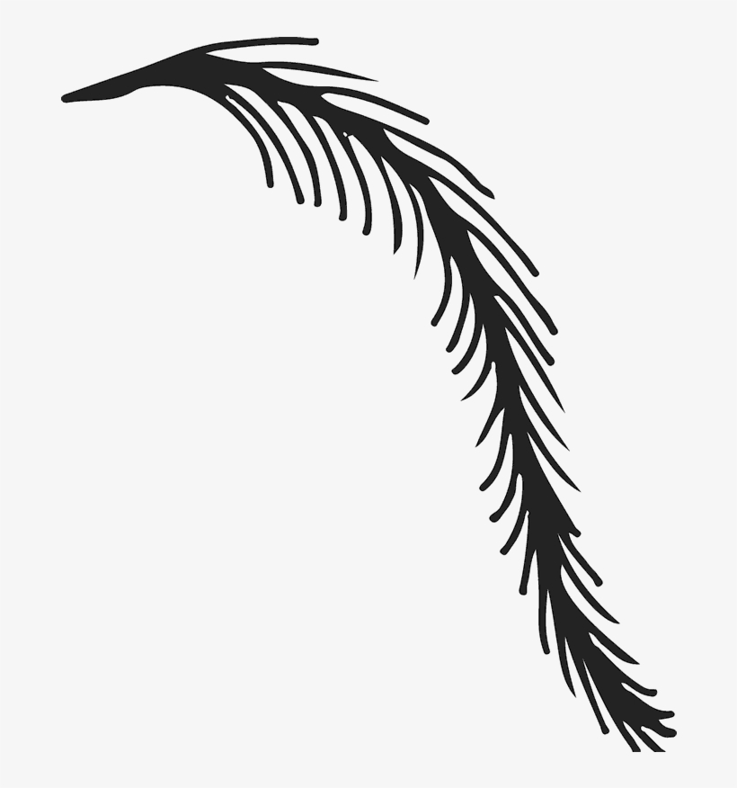 Weeping Willow Branch Rubber Stamp - Willow, transparent png download