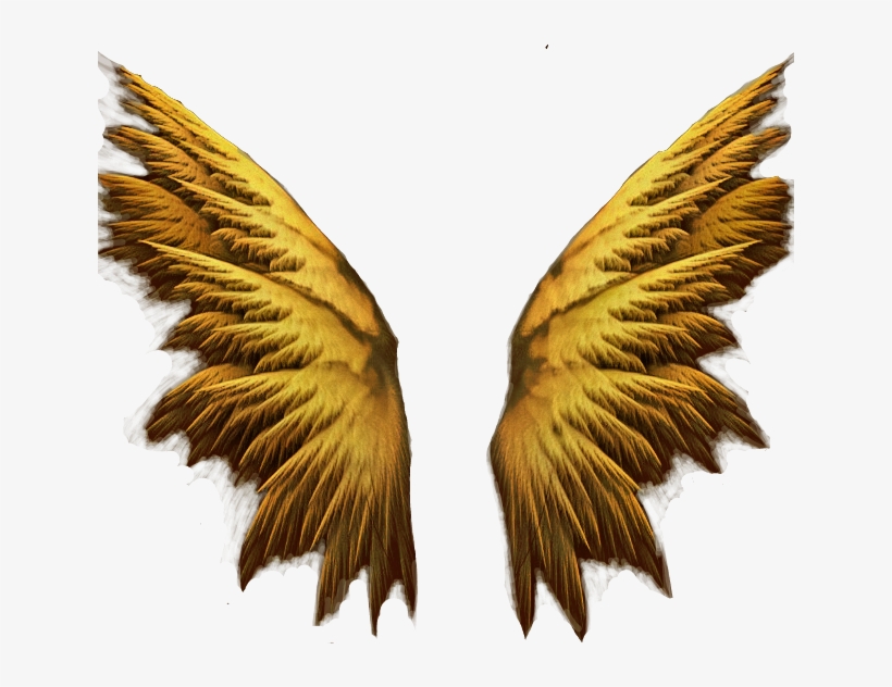 Purple Angel Wings, transparent png download