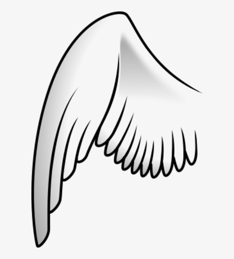 Clip Art Angel Wings - Left Angel Wing Png, transparent png download