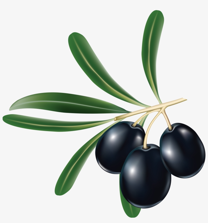 Black Olives Png - Black Olive Png, transparent png download