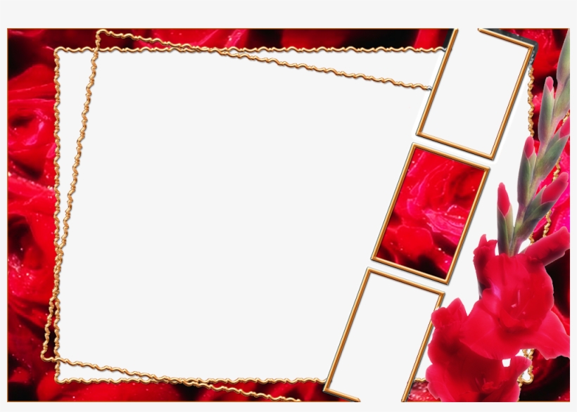 Terça-feira, 24 De Julho De - Molduras De Fotos Gratis, transparent png download