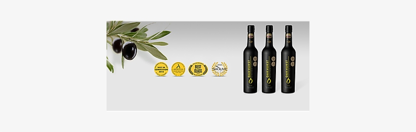 Oakhurst Olives - Domaine De Canton, transparent png download