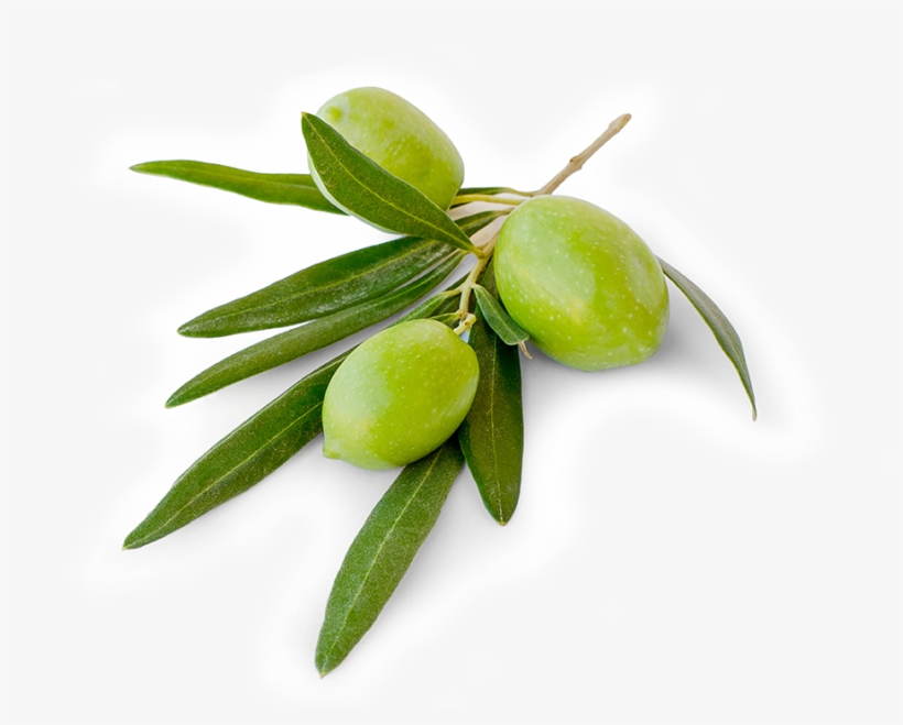 Olives Club Benefits - Green Olives Png, transparent png download