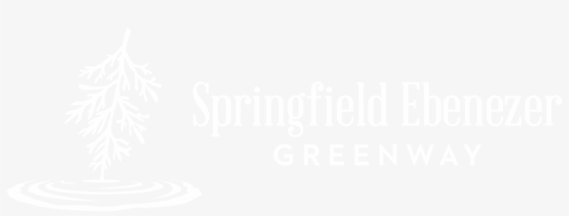 Exploring Ebenezer Creek - Ebenezer Creek, transparent png download