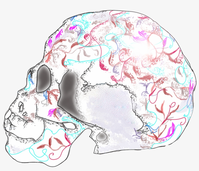 Lens Flare Effect Skull - Illustration, transparent png download