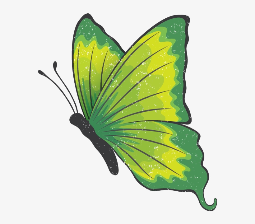 The Green Butterfly Gala May 10, 2018 @ - Green Butterfly Png, transparent png download