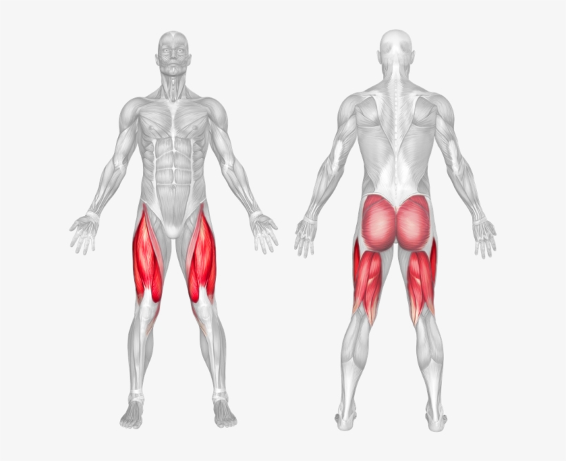 Coach On Maintaining A Good Posture While Doing Squats - Squat Muscles, transparent png download