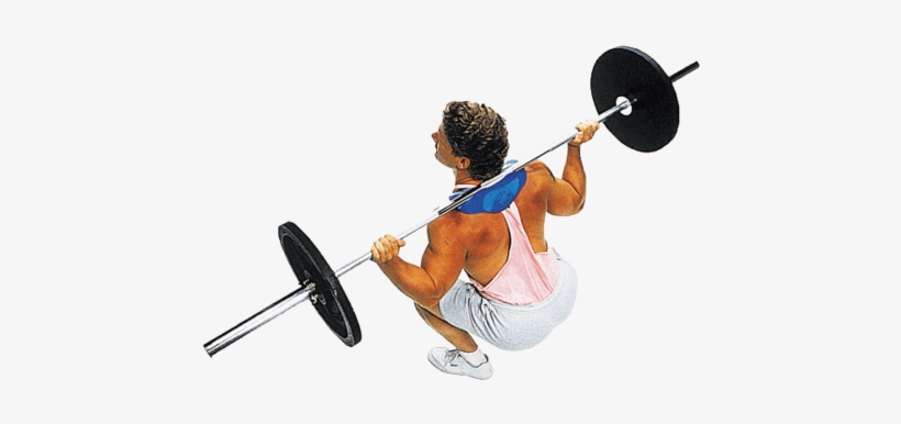 Body Solid Manta-ray - Body Solid Manta Ray Squat Attachment, transparent png download