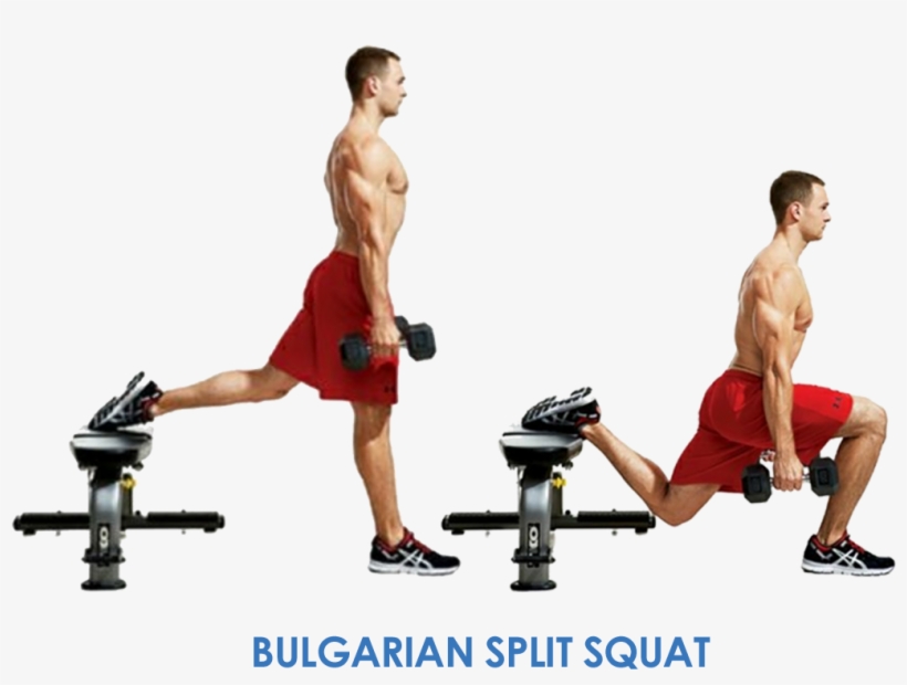 Workout Of The Week - Esercizi Per I Quadricipiti Con I Manubri, transparent png download