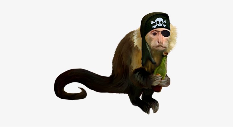 Share This Image - Singe Pirate, transparent png download