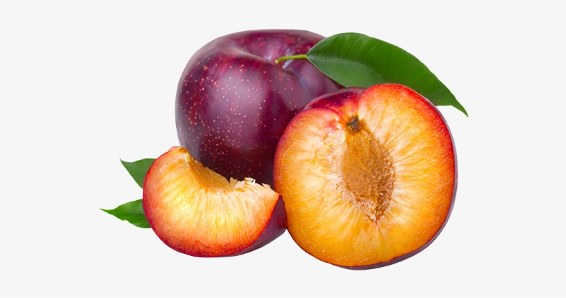 Plums Are Enjoyed As A Fresh Snack As Well As A Popular - Plum Fruit Png, transparent png download