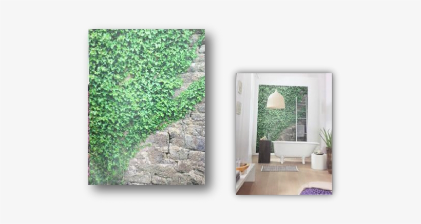 Ivy - Komar 4-324 Apd-324 Ivy Mural, transparent png download