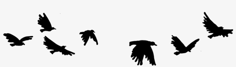Pajaros2 - Silhouette, transparent png download