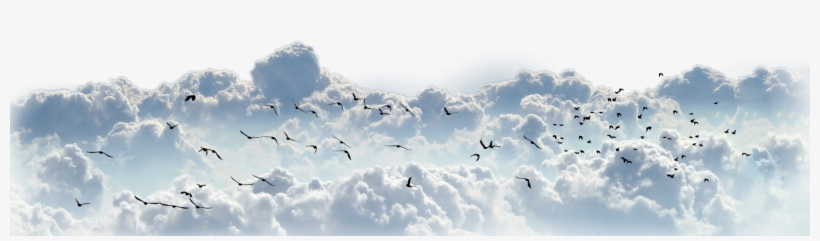 Cloud Of Witnesses: Great Theological Insights, transparent png download