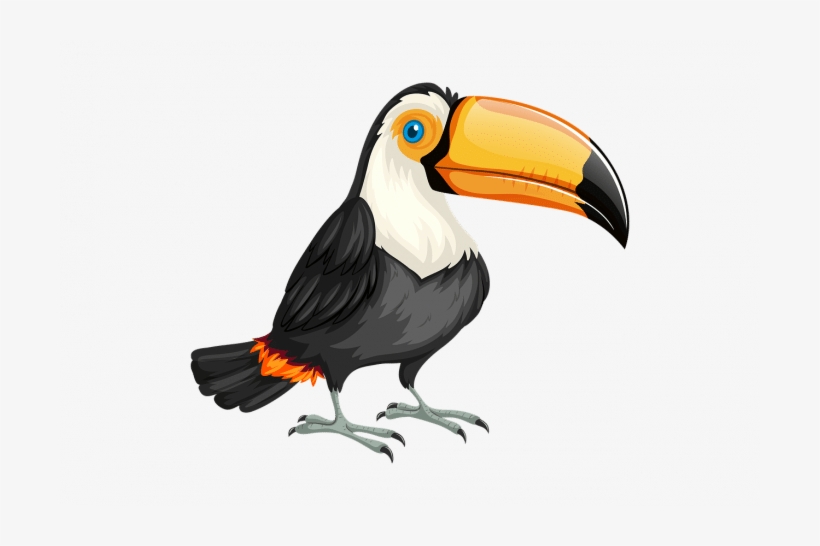 Aves Exoticas - Bandeira Do Brasil Com Um Tucano, transparent png download