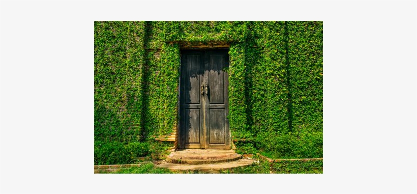 Green - Wall, transparent png download