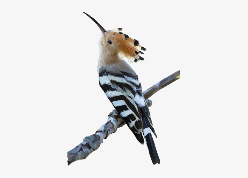 Vinilo Polígonos Pájaro Carpintero - Migratory Birds With Names, transparent png download