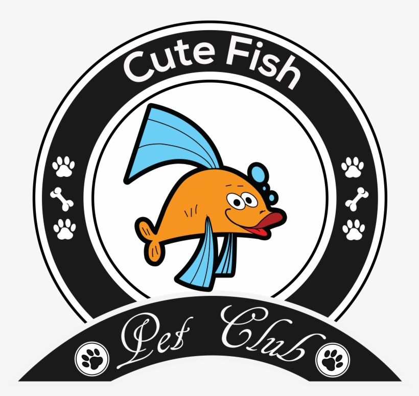 Cute Fish - Usfor Afghanistan, transparent png download