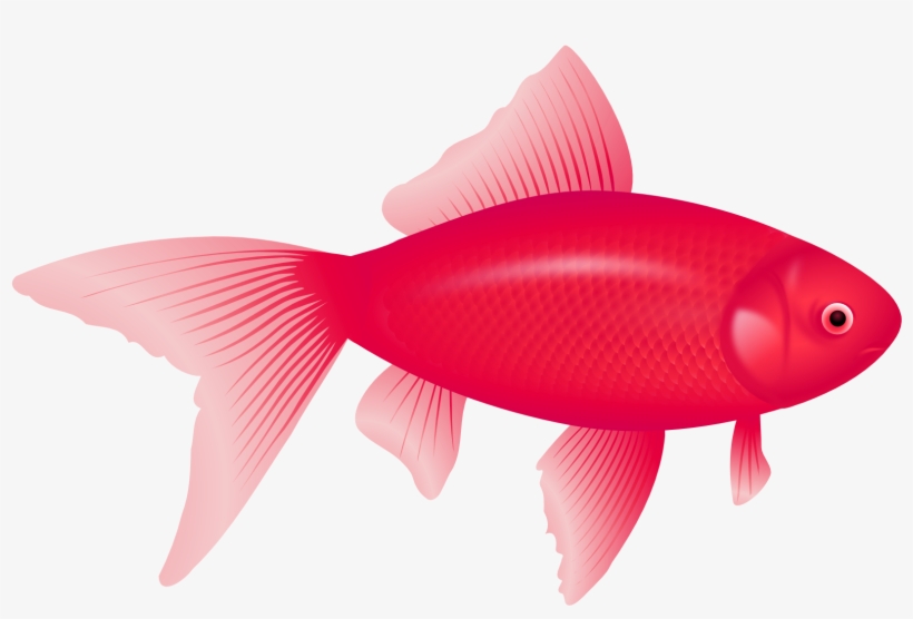 One Fish, Two Fish, Red Fish, Blue Fish Clip Art - Peces De Color Azul, transparent png download