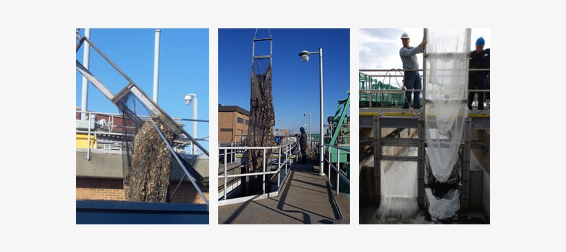 Contact Information - Bailey Bridge, transparent png download