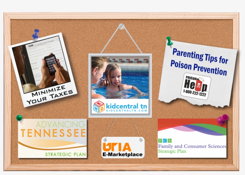 Corkboard - Tutorial, transparent png download