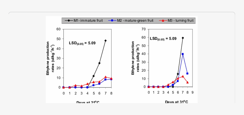 Ethylene Production Of Miniature Golden Apple Fruits - Plot, transparent png download