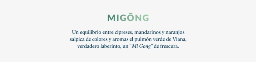 Linea De Ambientación Palacio De Viana - Parallel, transparent png download