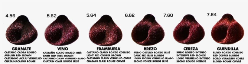 Gama De Colores De Tintes - Colores De Tintes Rojizos, transparent png download