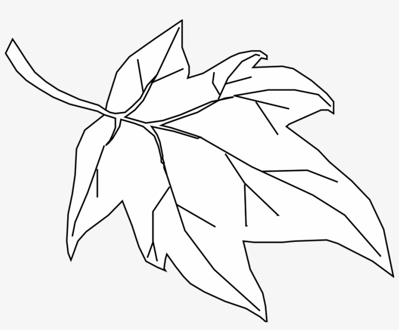 Free Vector Graphic Maple Leaf Outline Tree Nature - Orange Fall Leaves Cartoon, transparent png download