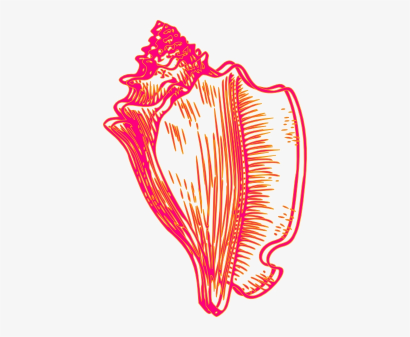 Pink Seashell Clipart Png - lvandcola