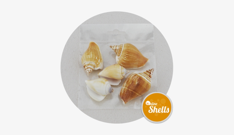 Art & Craft Pack - Art, transparent png download