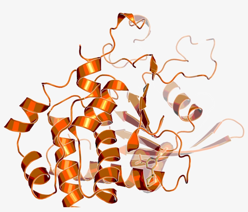 Step Structure And Allosteric Binding Site With Bound - Ligand, transparent png download