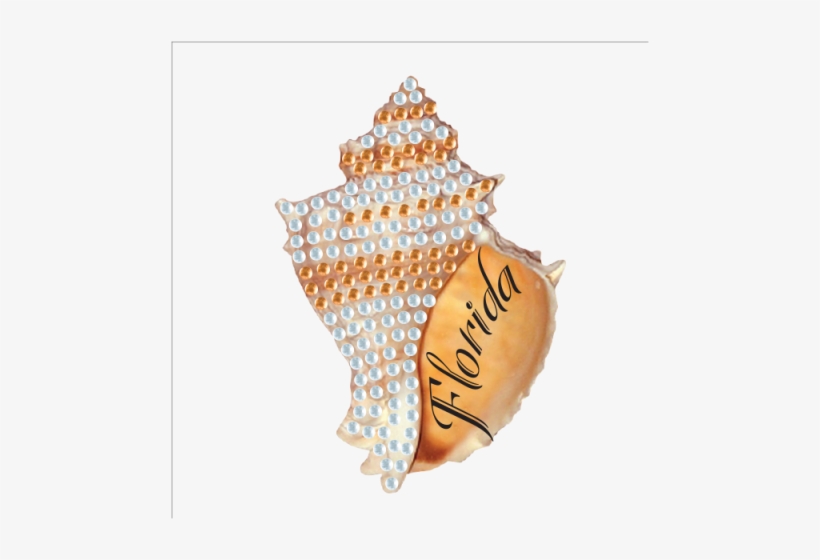 Conch Shell - Conch, transparent png download