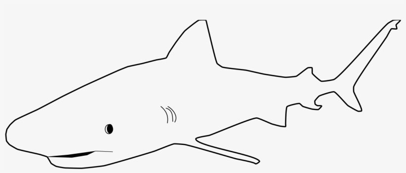 The Proportion Of Apex Species In The Assemblage Increased - Requiem Shark, transparent png download
