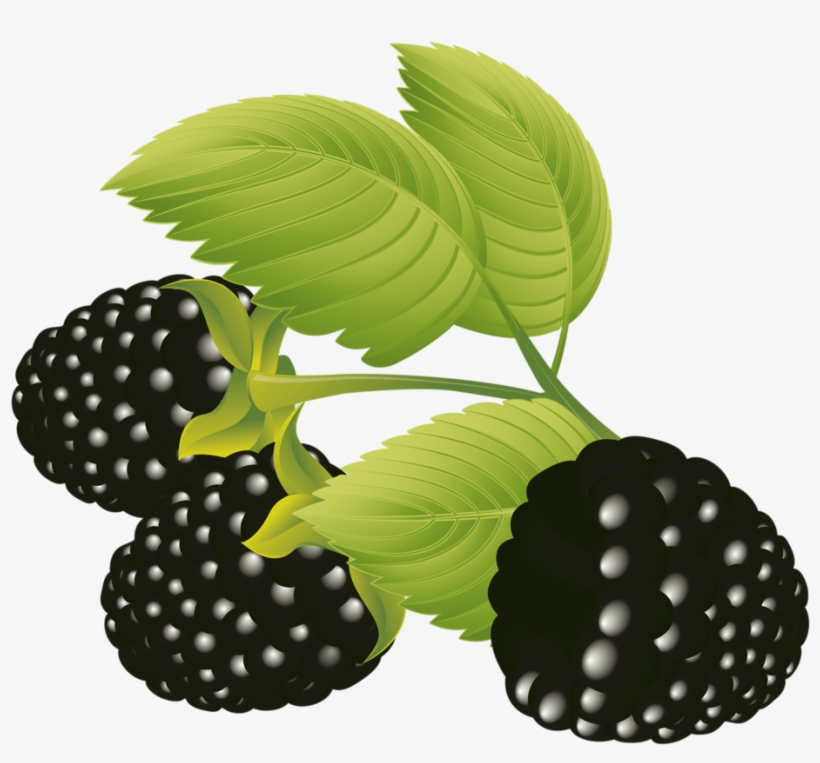Blackberries Vector Free, Eps Vector, Graphic Design Blackberry Emoji