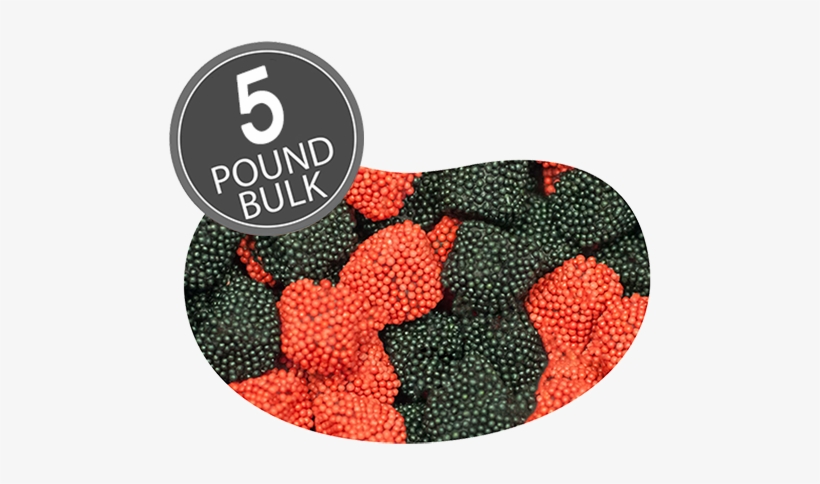 Jelly Belly Raspberries & Blackberries Jelly Candy - Jelly Belly Raspberries And Blackberries - 10 Lbs Bulk, transparent png download