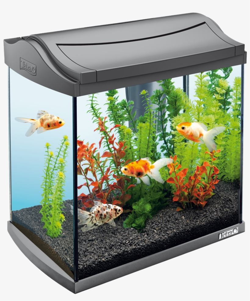 30 Litre Fish Tank, transparent png download