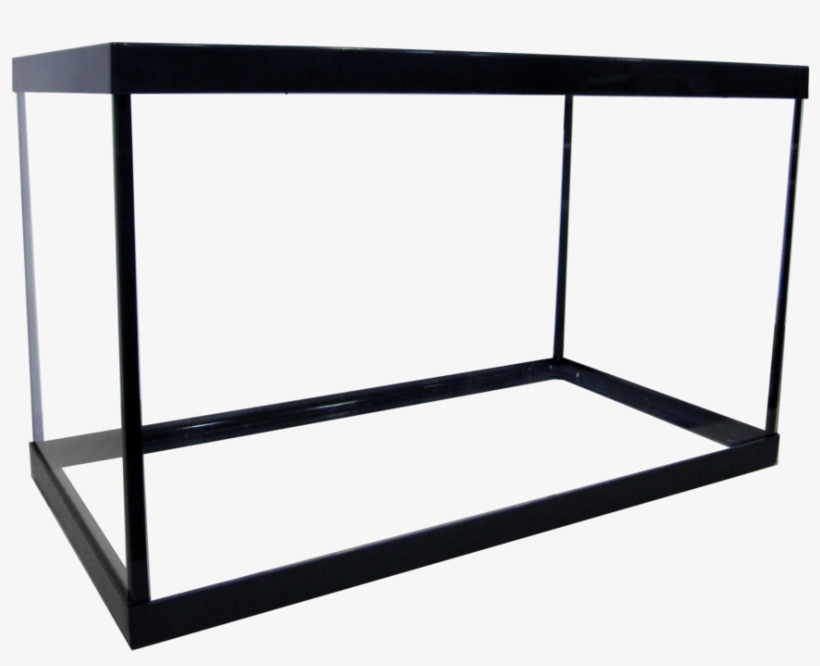 5 Regular Aquarium - Aquarium, transparent png download