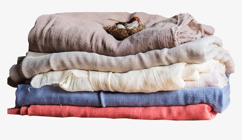 Lightbox Moreview - Cushion, transparent png download