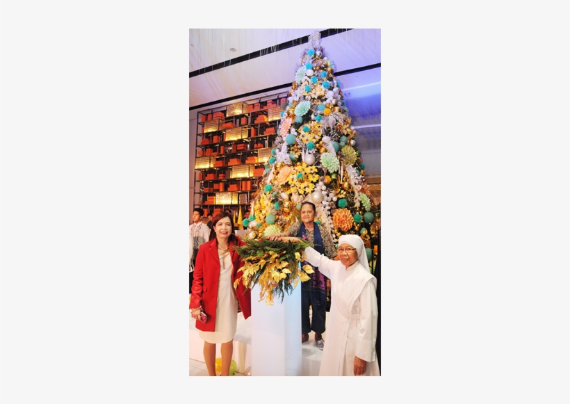 Midas Christmas Tree Lighting - Hotel, transparent png download