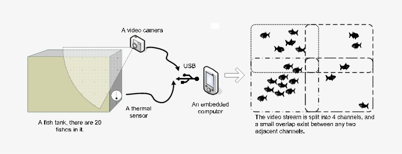 A Real-time Surveillance System Monitoring Fishes In - Diagram, transparent png download