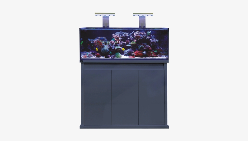 Dd Reef Pro 1200, transparent png download