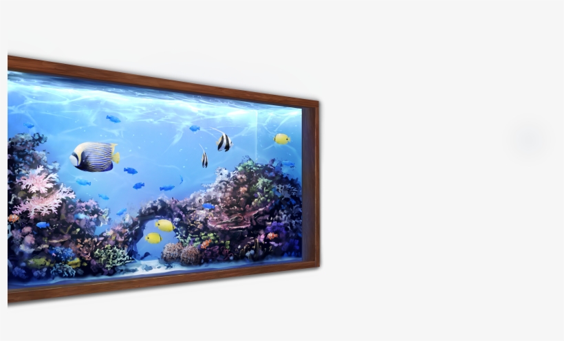 Aquarium - Aquarium Lighting, transparent png download