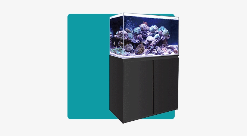 Fish Tank Pond Aquarium Supplies Allpondsolutions - Marine Tanks, transparent png download