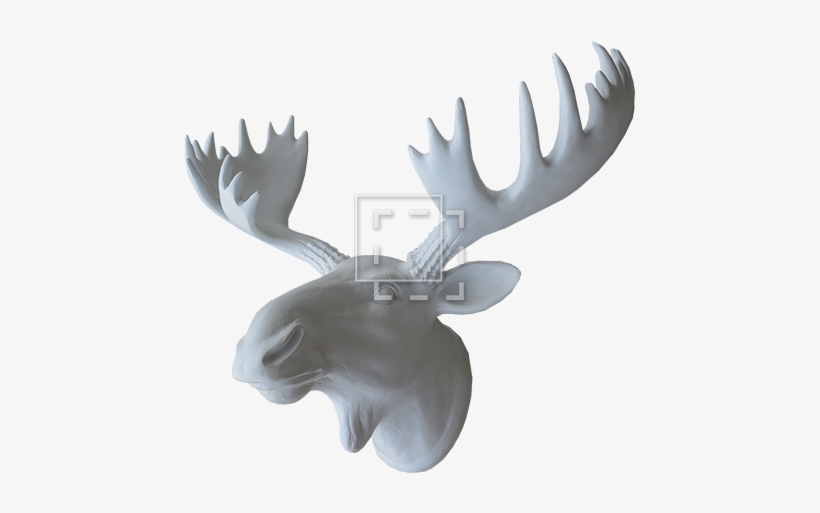 Moosehead Side View - Elk, transparent png download